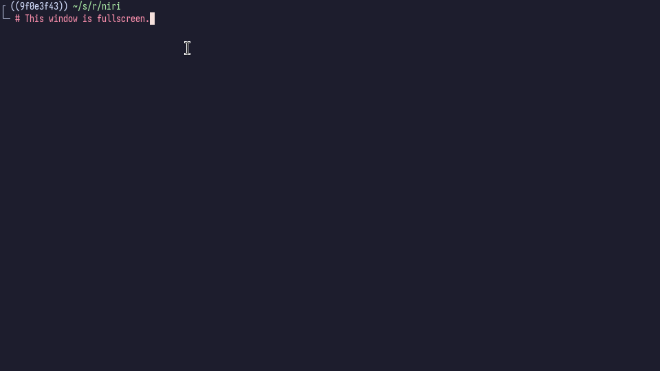Screenshot of a fullscreen window.